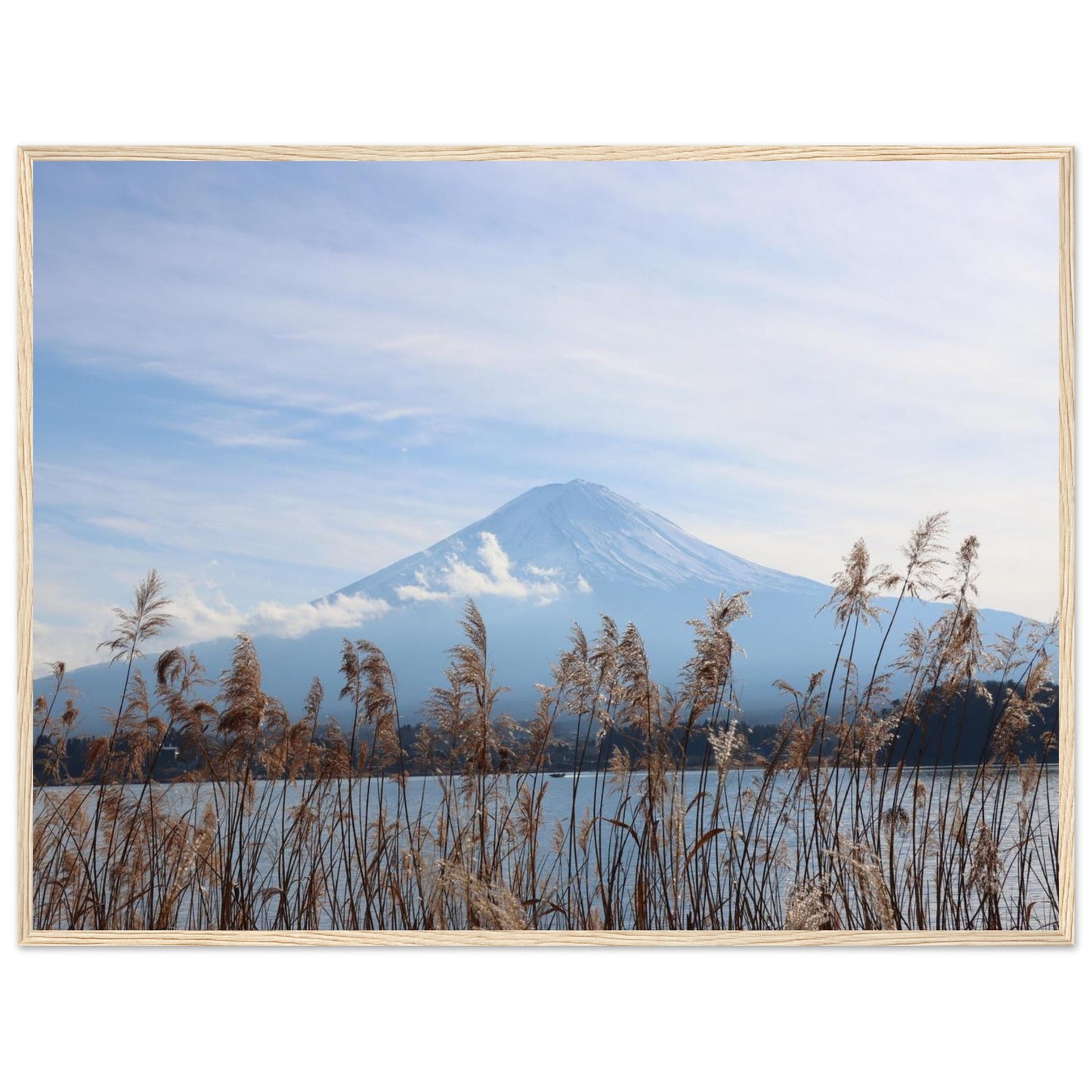 f774ca87-68ef-480e-8cc6-18686f6aa601