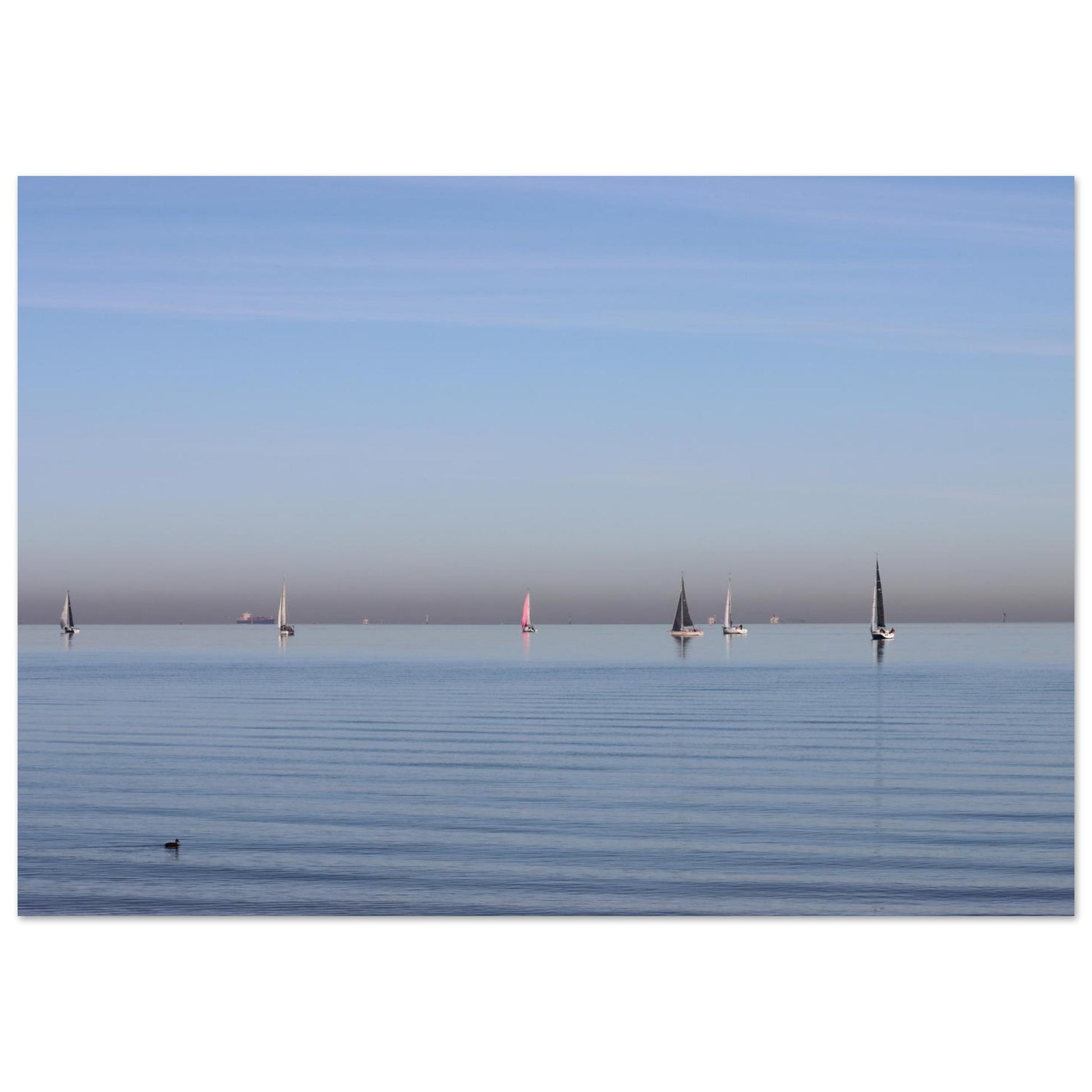 f807e4ed-2390-4f03-ba7e-c0c3c6d3a019