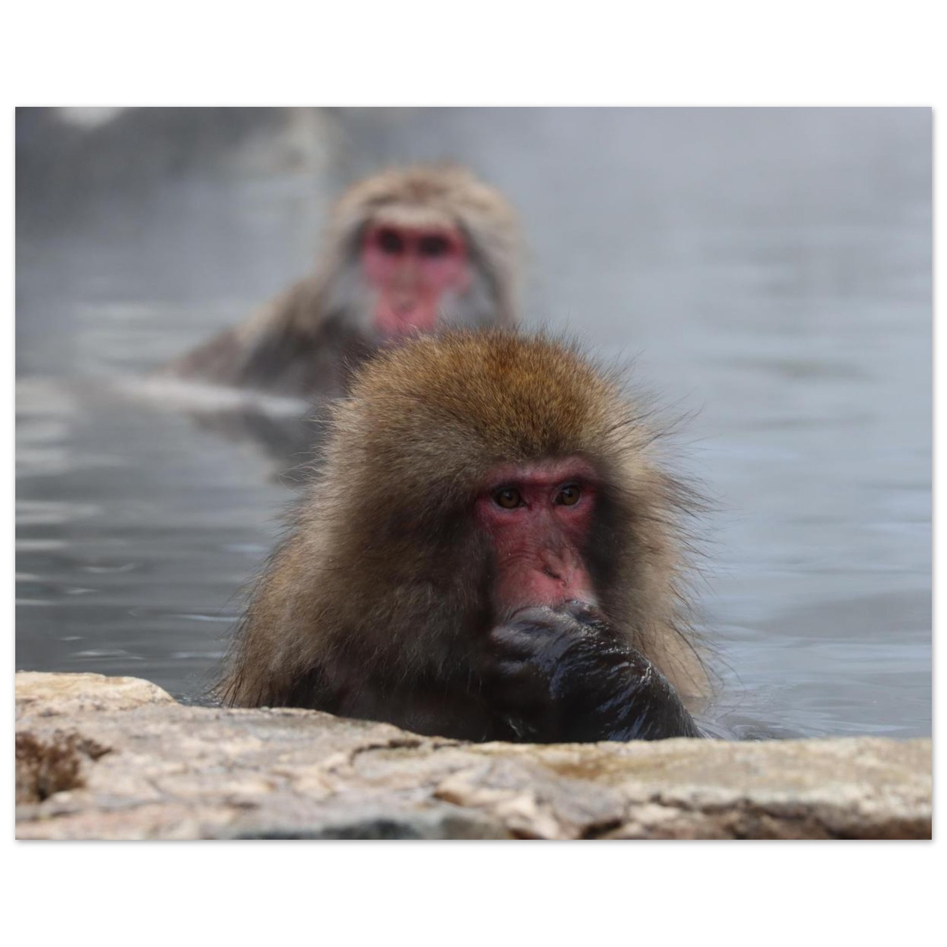 faa8b697-88aa-4fd1-8a11-aa56e957155c