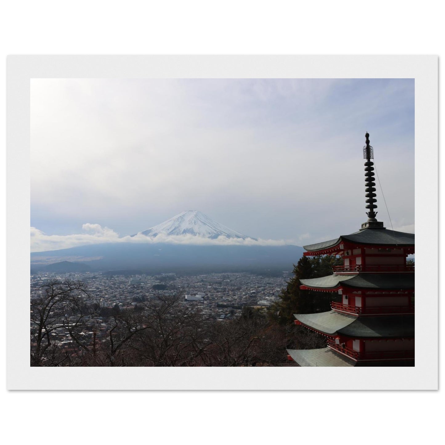 fccc0797-a797-4618-8c1f-e78ebff6671e