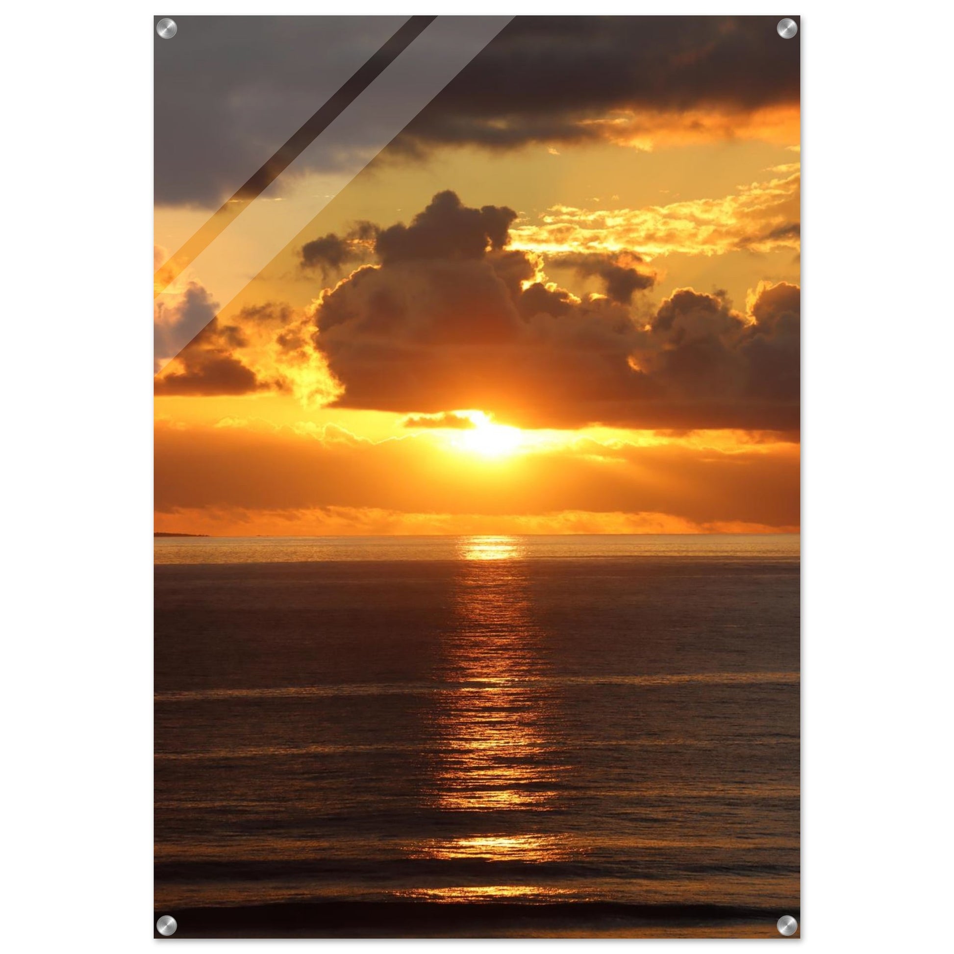 fd7edac5-a430-4e24-b274-3cf663dd6e0e