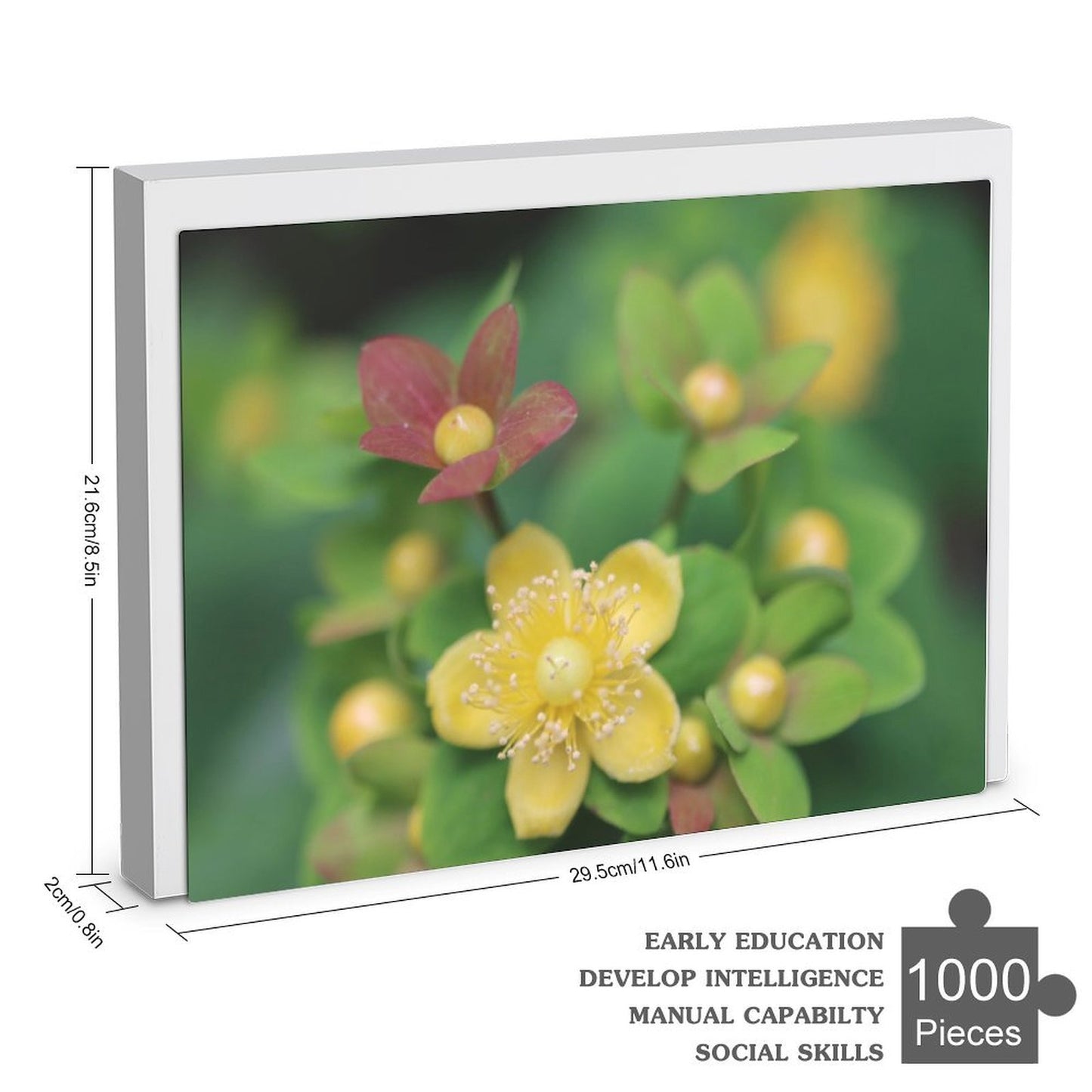 Hypericum androsaemum in bloom - 1000-Piece Jigsaw Puzzle