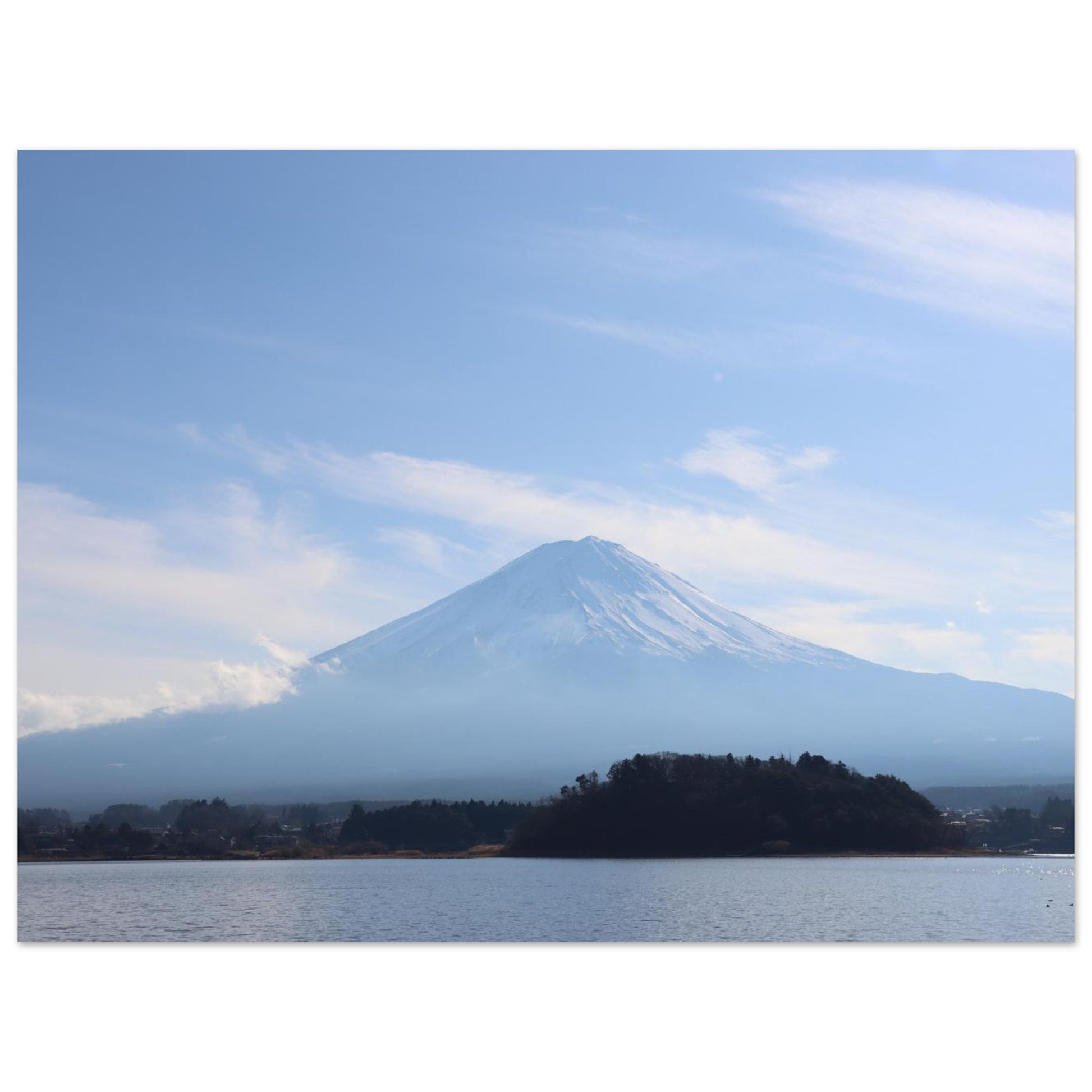fe48e886-bc35-41f3-b613-2ae5ac98fed7