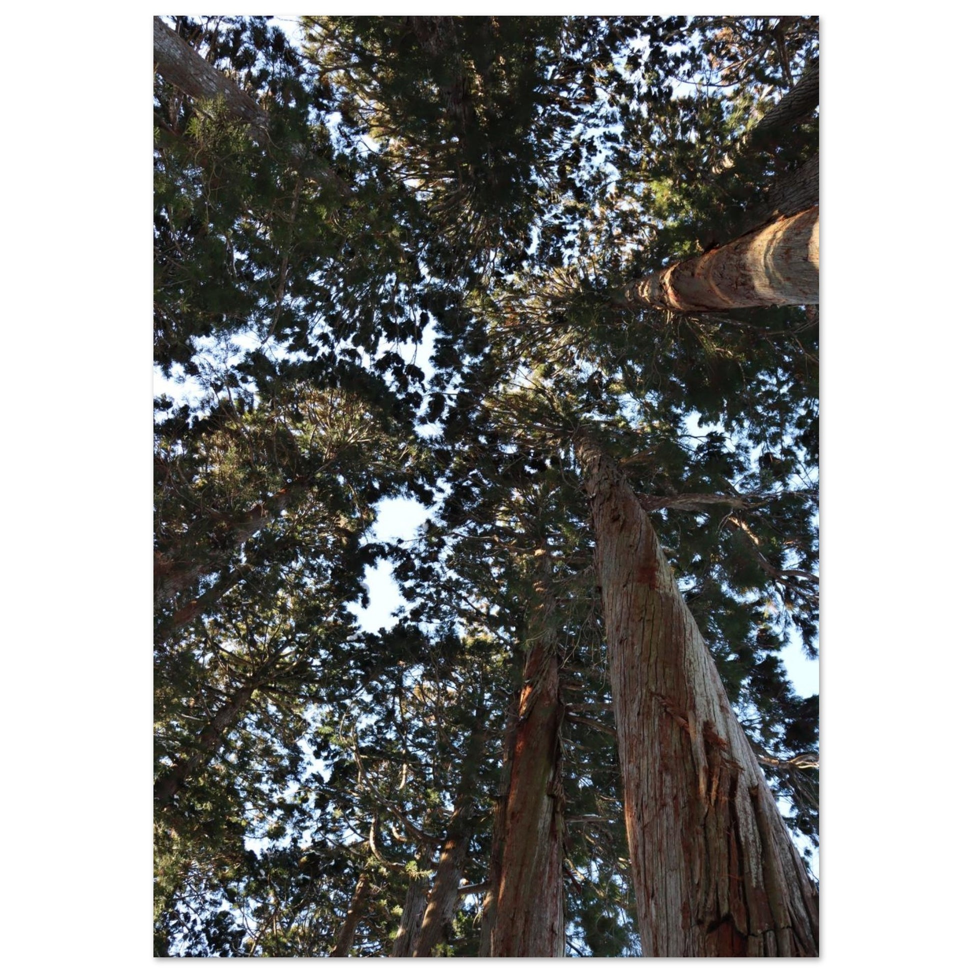 fe87787b-51c9-40f6-aa4e-edcc1f8cce64