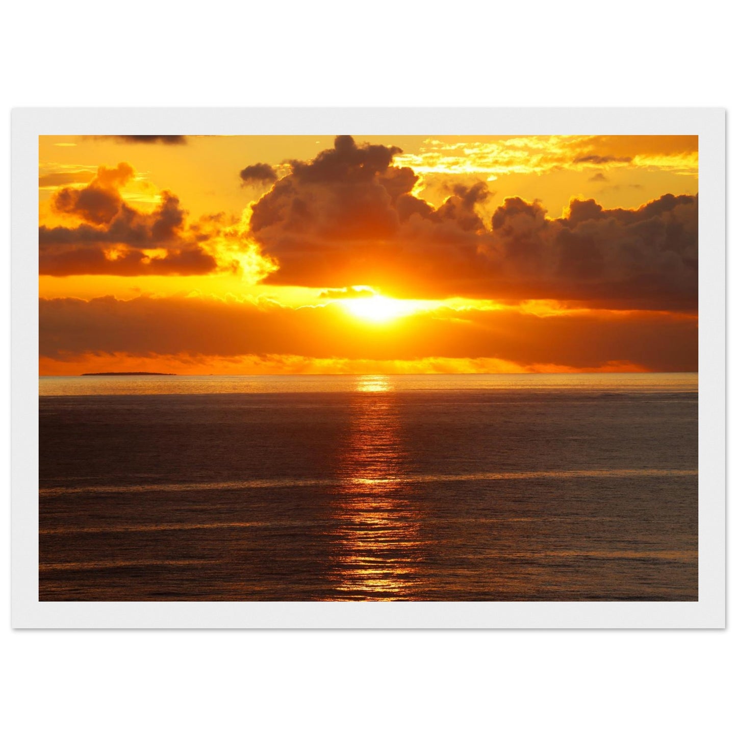 ff584ce5-ea03-463d-a14b-371f1ad537b5